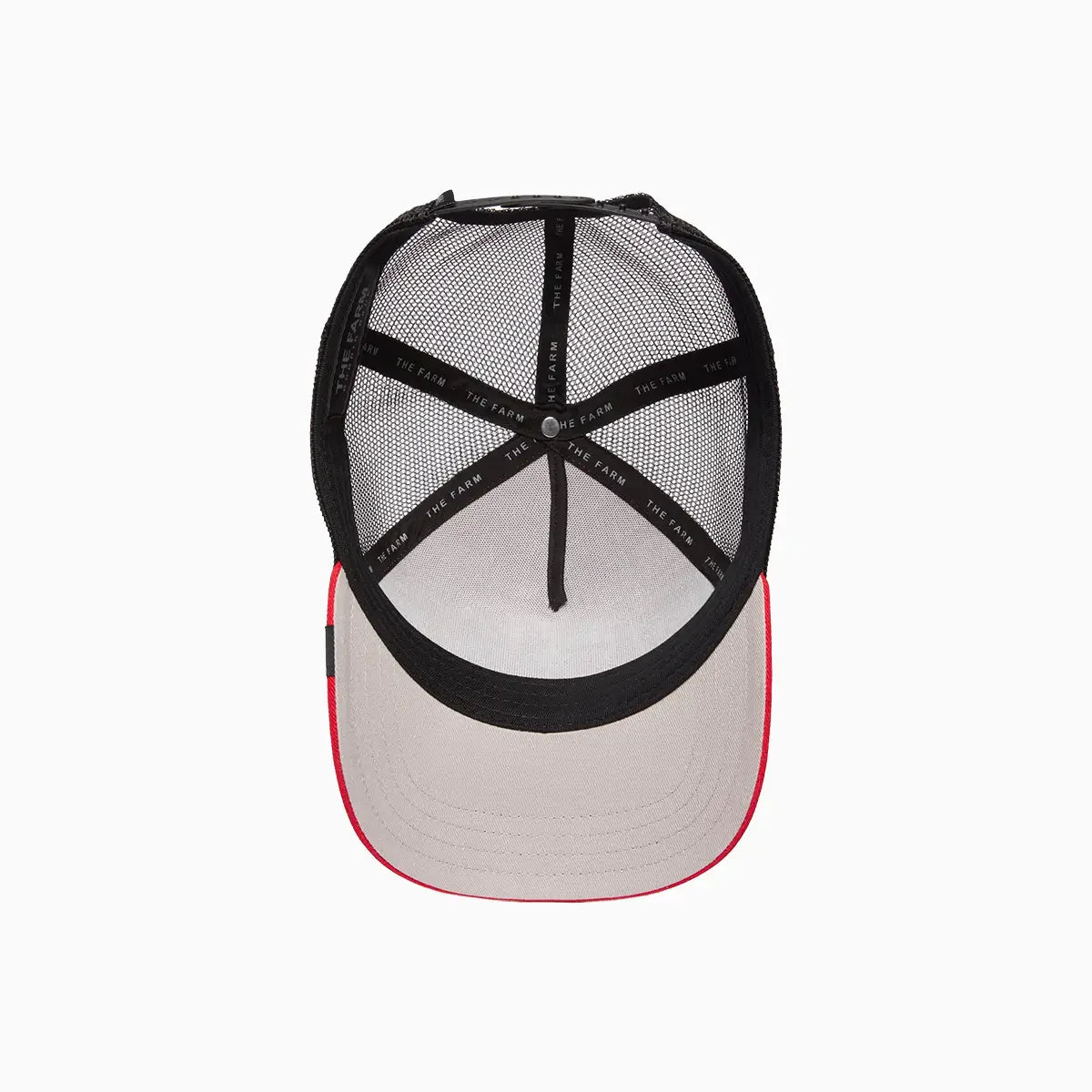 Goorin Bros Falcon Fan {Soaring} (Red)
