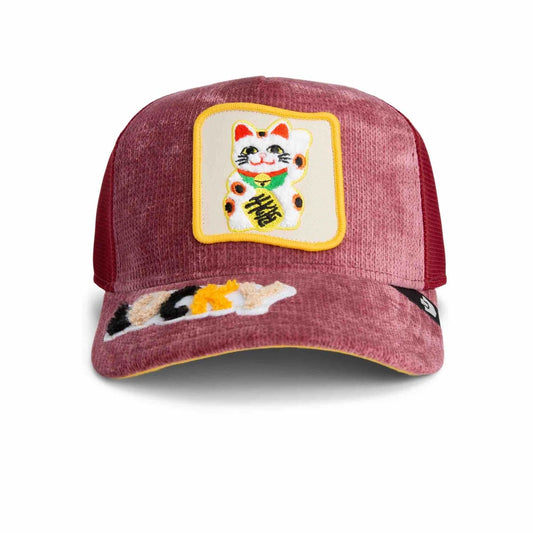 Goorin Bros Maneki-Neko {Lucky} (Solar)
