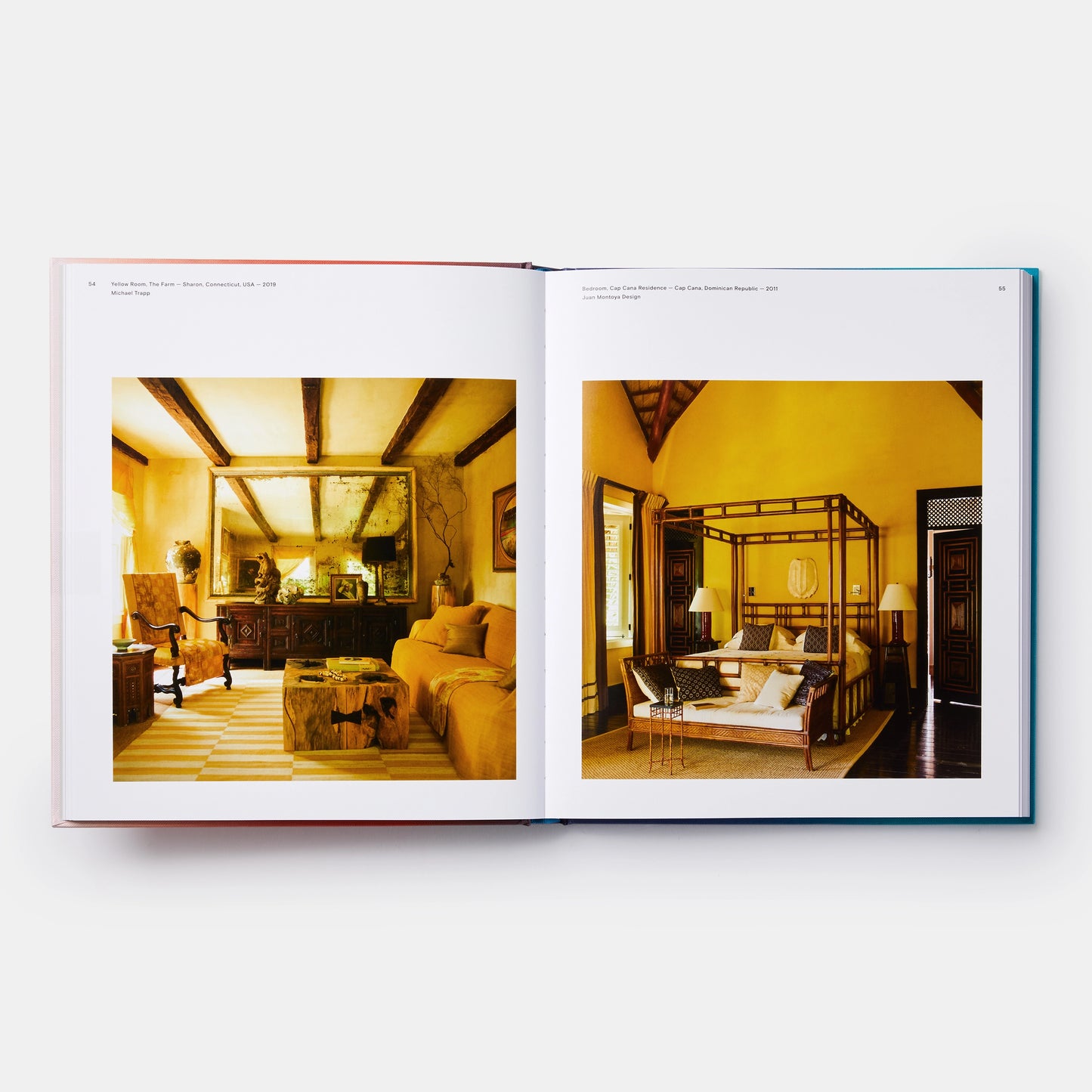 Living in Color Book